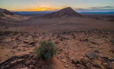 5 Days Desert Tour From Fes to Marrakech