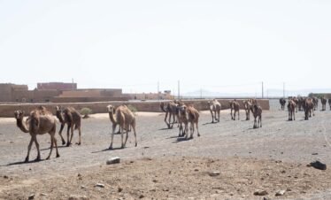 Morocco 10 Day Itinerary From Marrakech