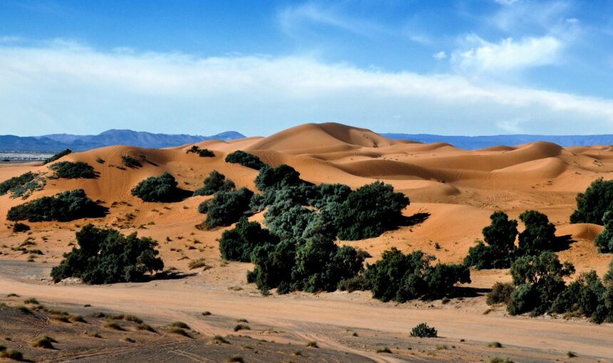 Best time to visit the Sahara Desert