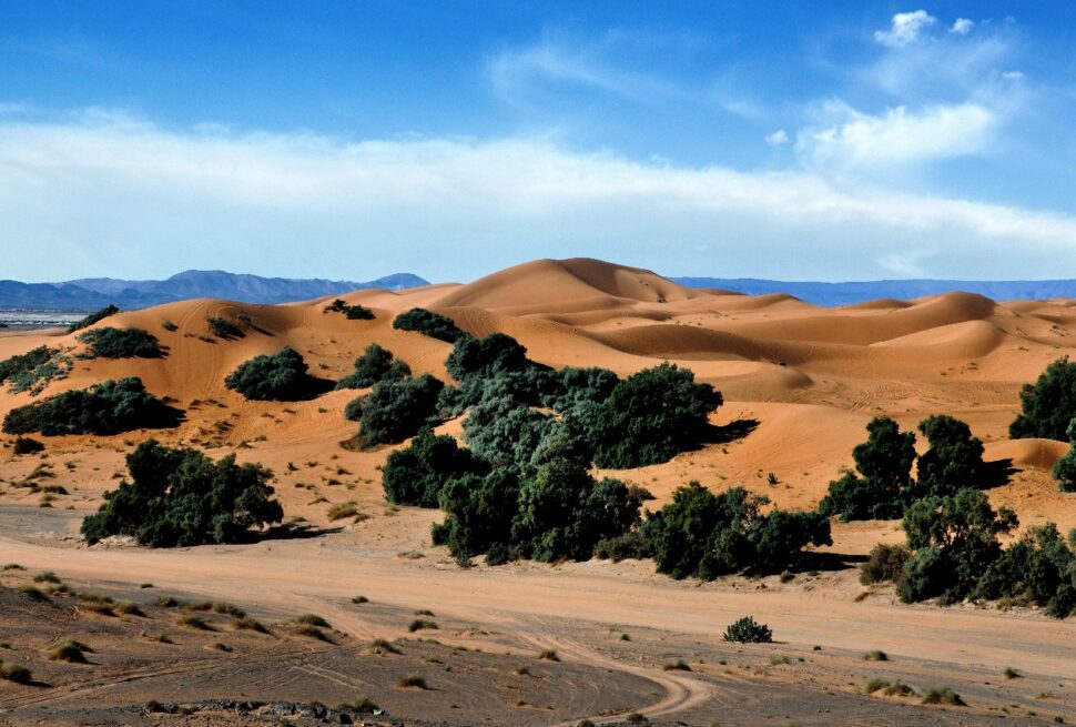 Best time to visit the Sahara Desert